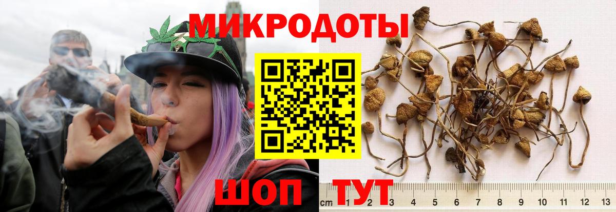Псилоцибиновые грибы Magic Shrooms Выборг