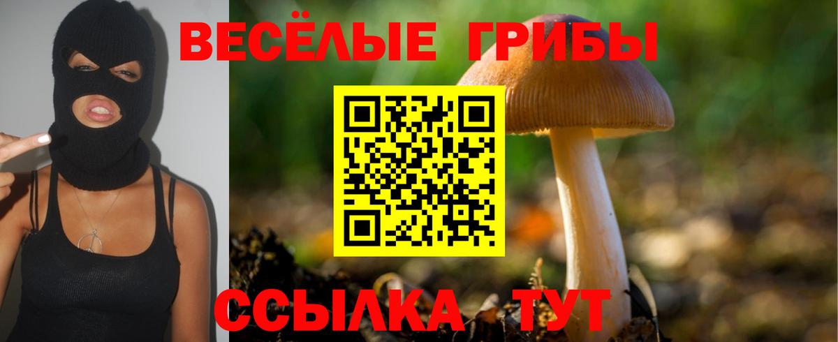 Псилоцибиновые грибы мицелий  Вход с VPN  Выборг 